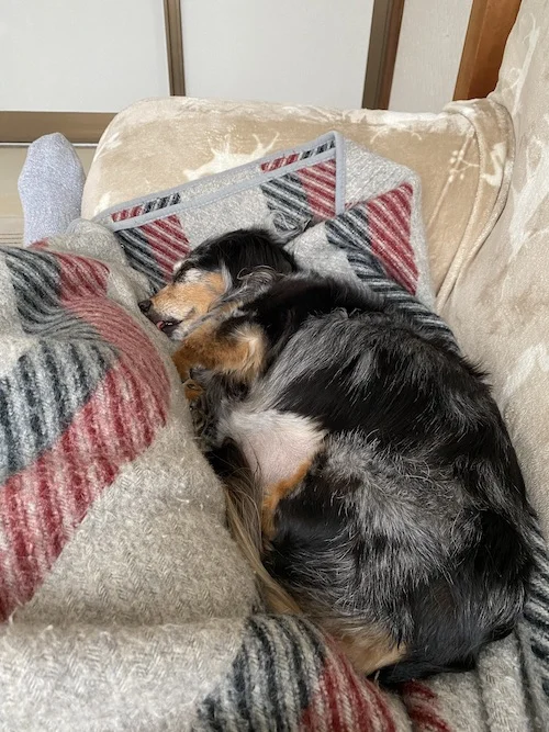 on the couch.jpeg