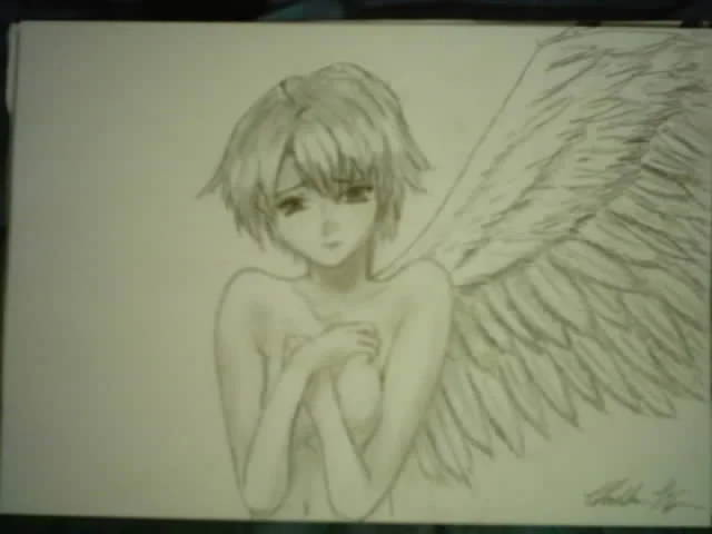 One wing angel