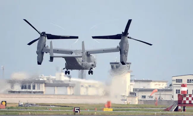 osprey.jpg