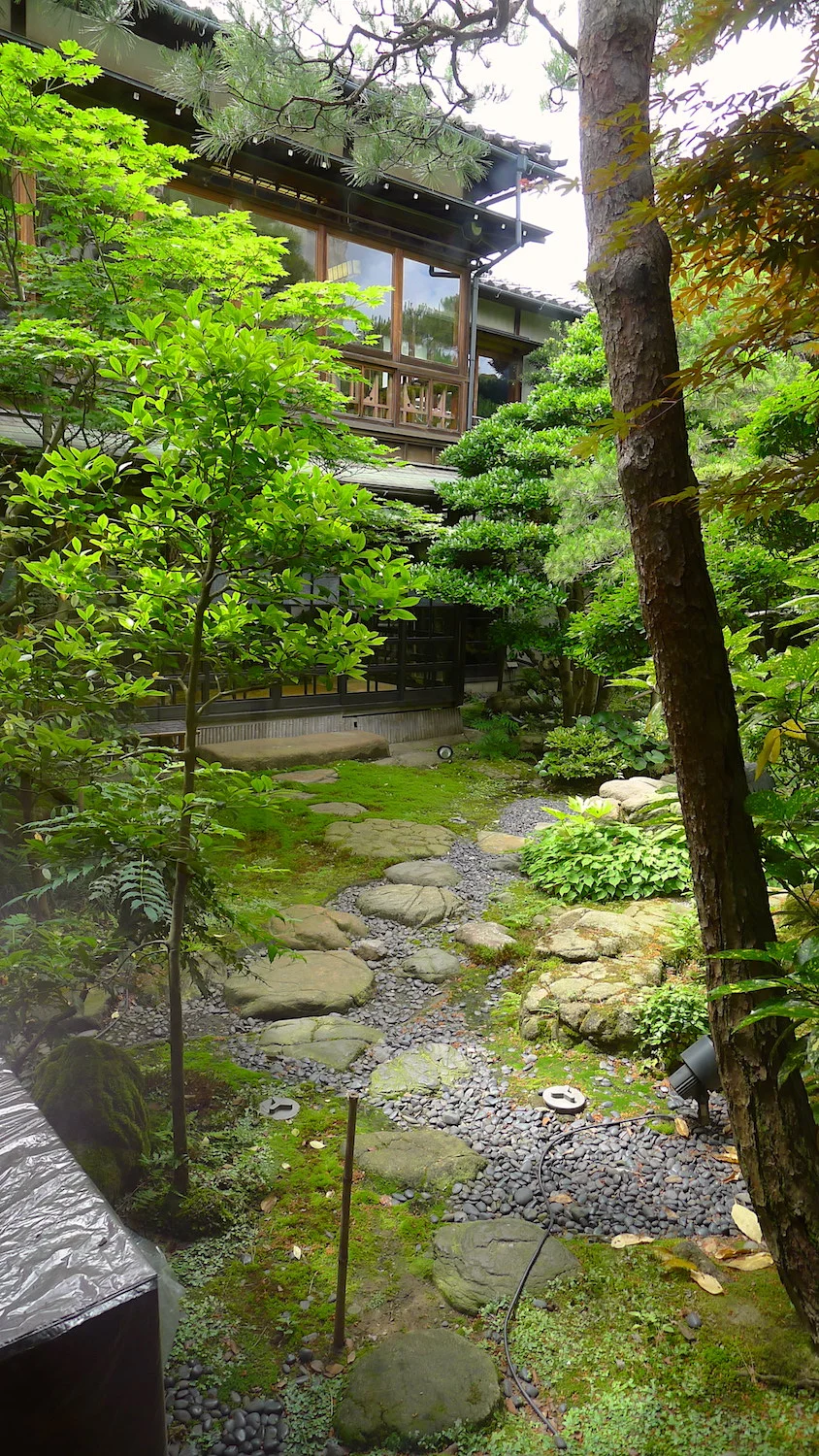 P1000987.JPG