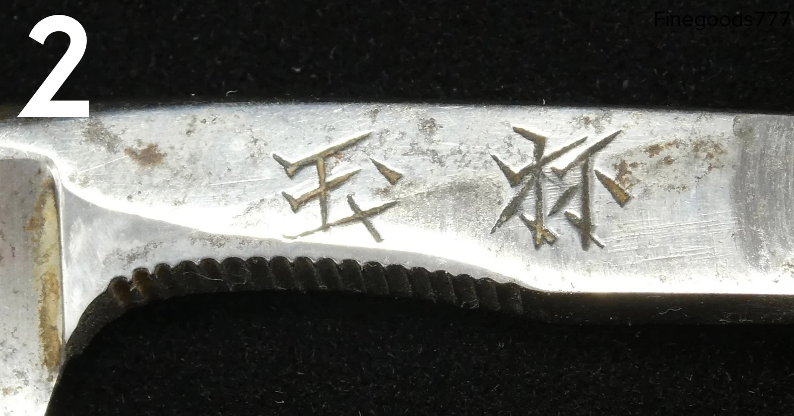 P1130247.jpg