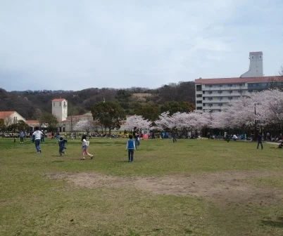 P4155489.jpg