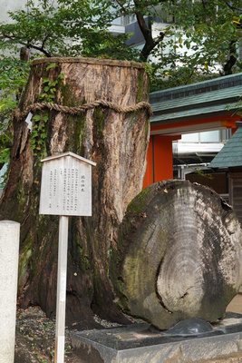 p746633722-2.jpg