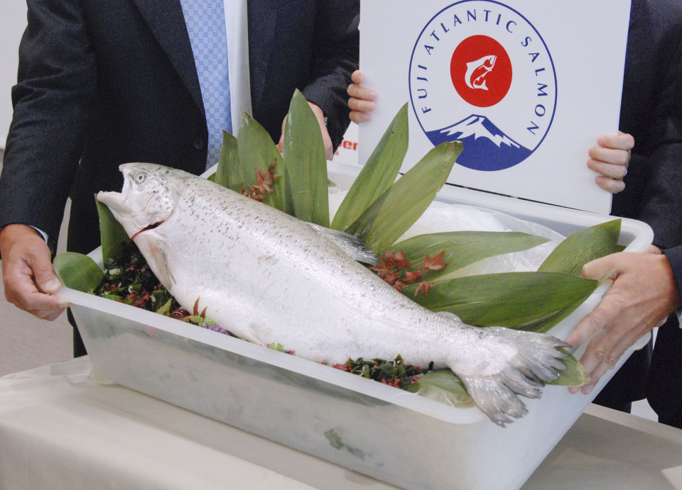 photo_l.jpg