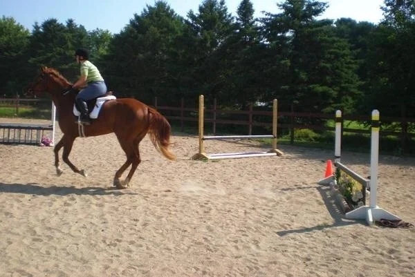 Picture 1 lexi forward2*