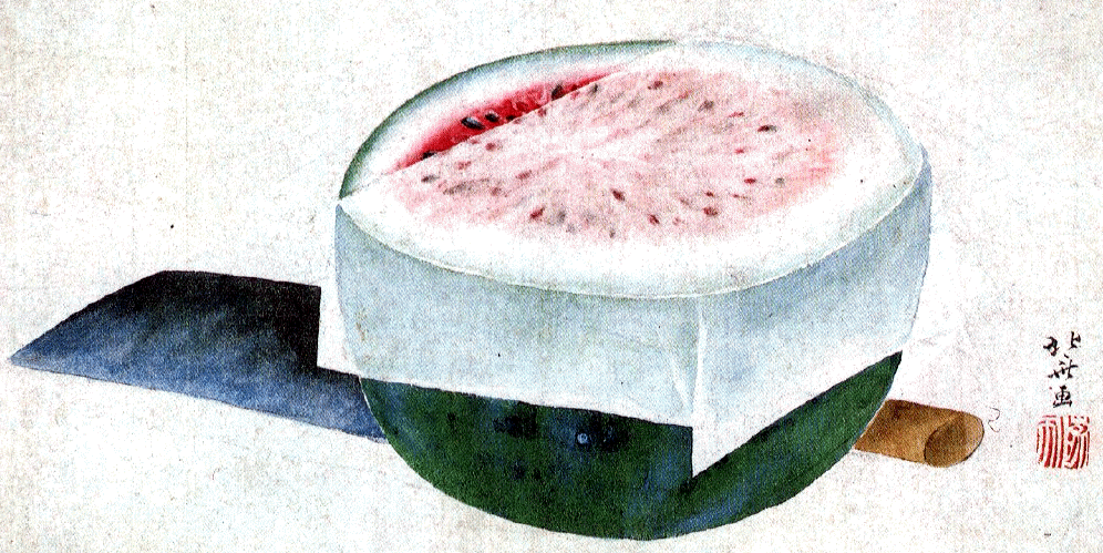 plant20