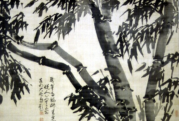 plant26