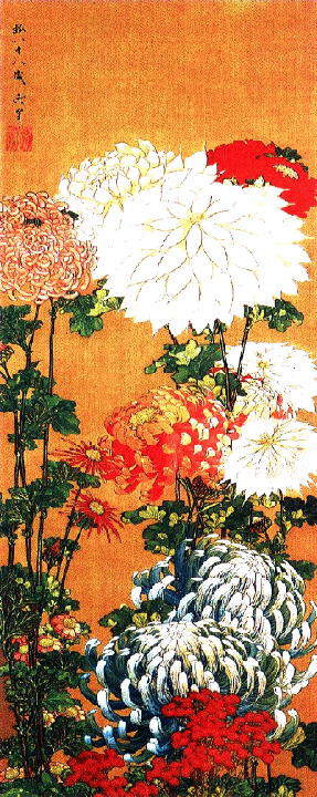 plant3