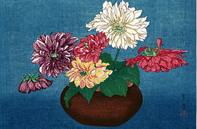 plant31
