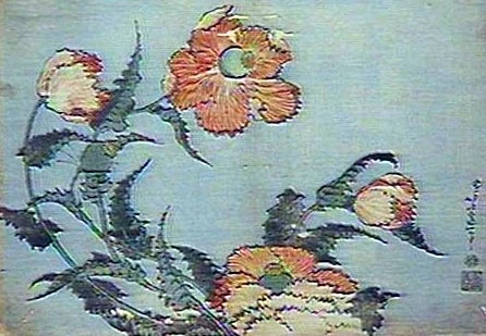 plant32