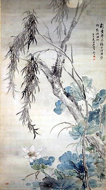 plant6
