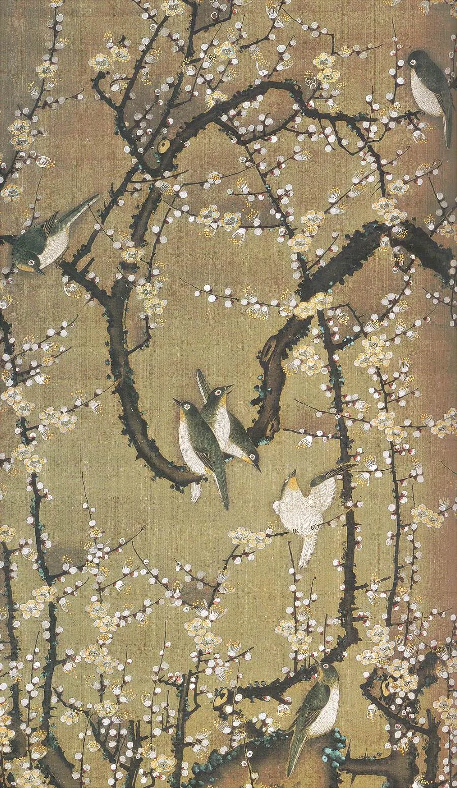 Plum blossom bird