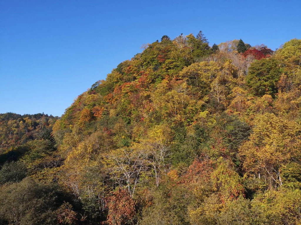Rarumanai Natural Park