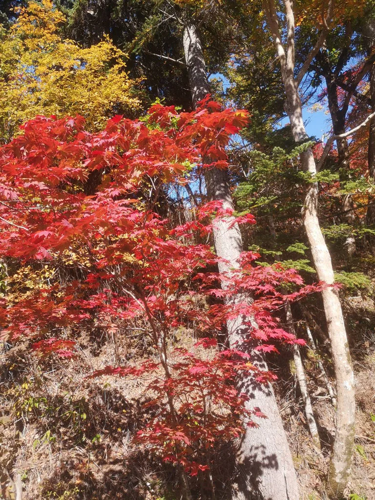 Rarumanai Natural Park