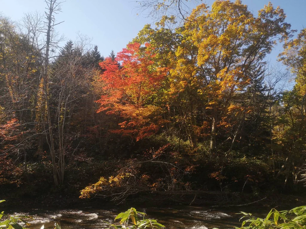 Rarumanai Natural Park