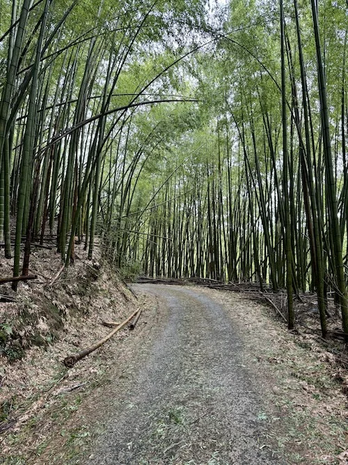 road 1.JPG