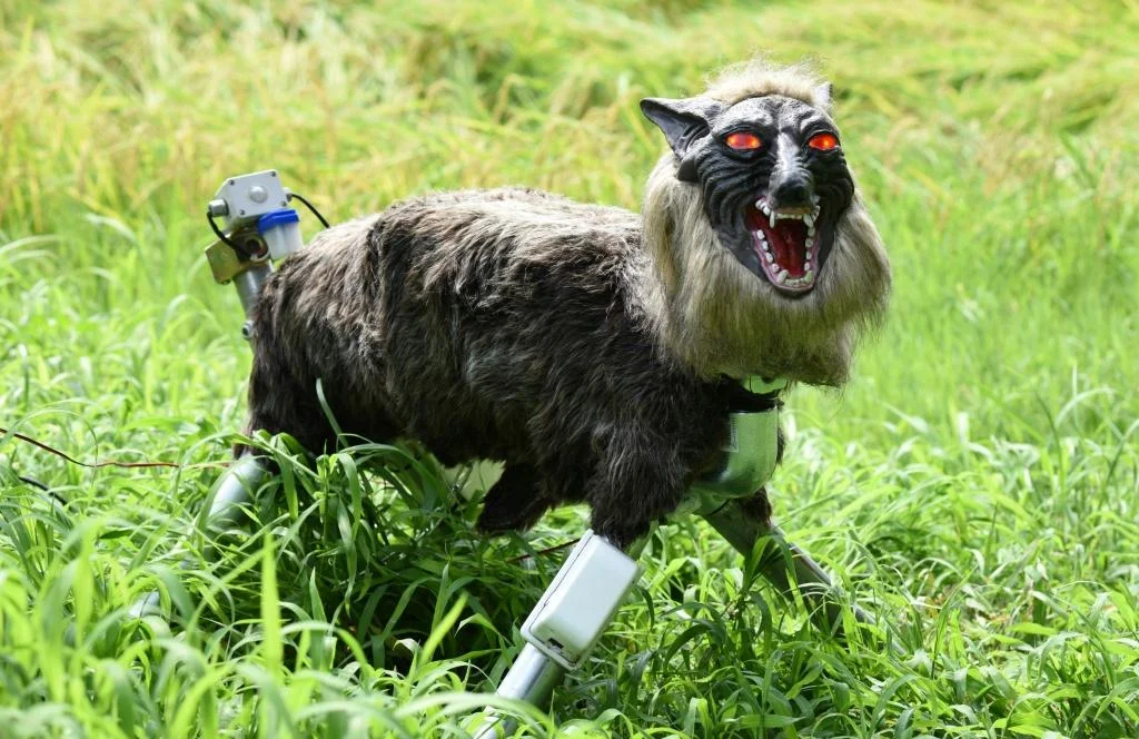 robot-wolf.webp