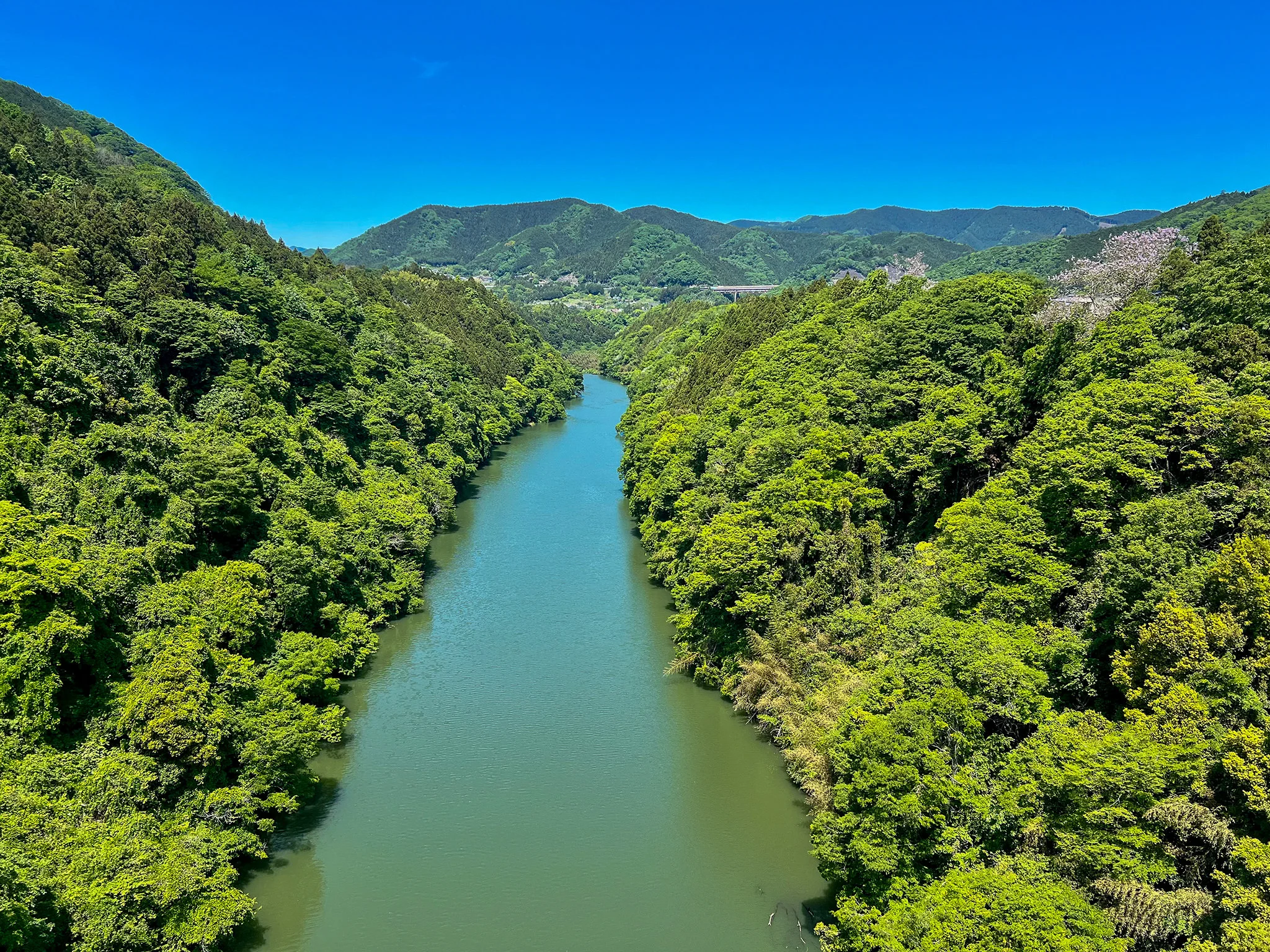 sagami-river.webp