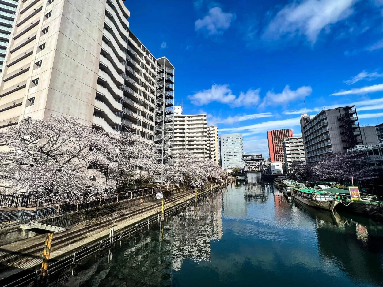 sakura-commute-27032022-05.jpg