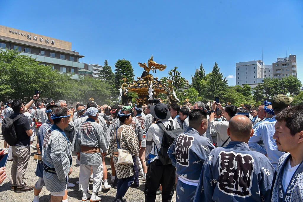 Sanja Matsuri 2024
