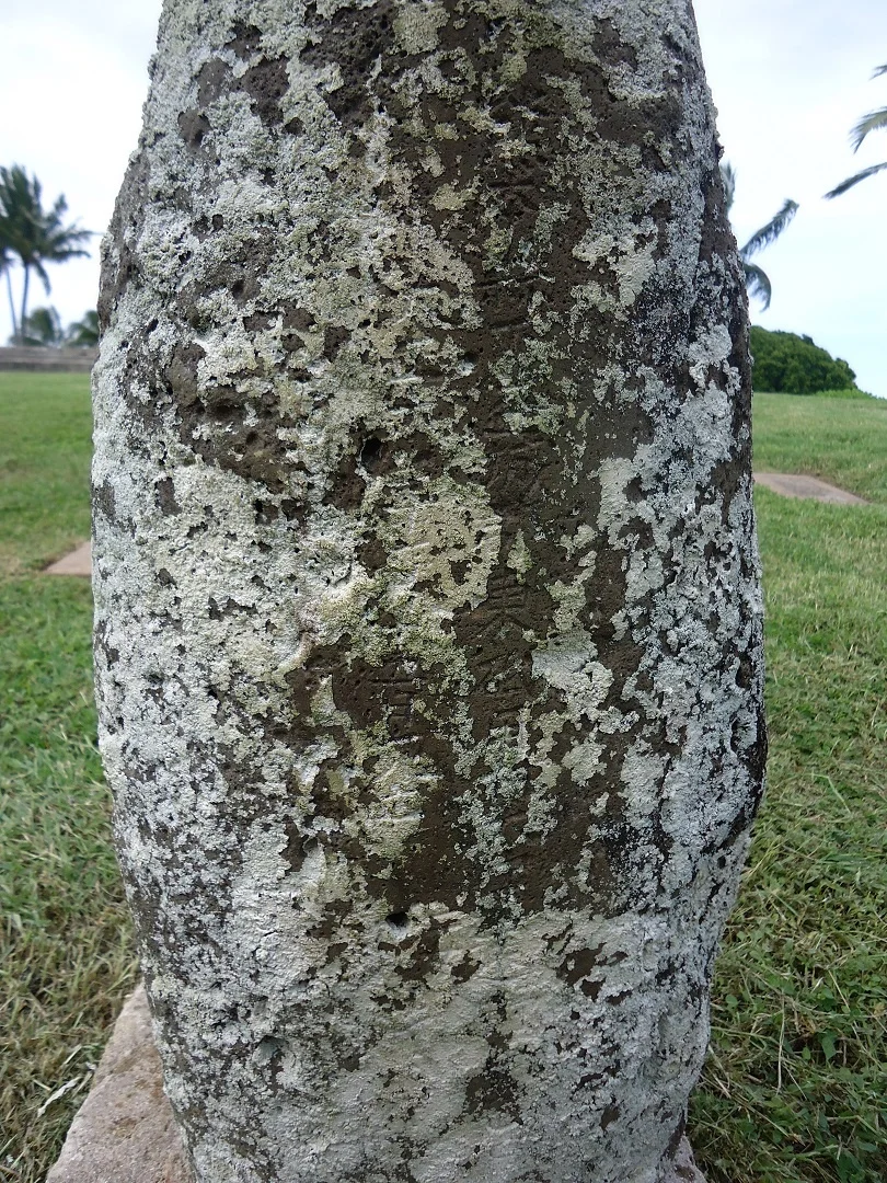 sDSC00823.jpg