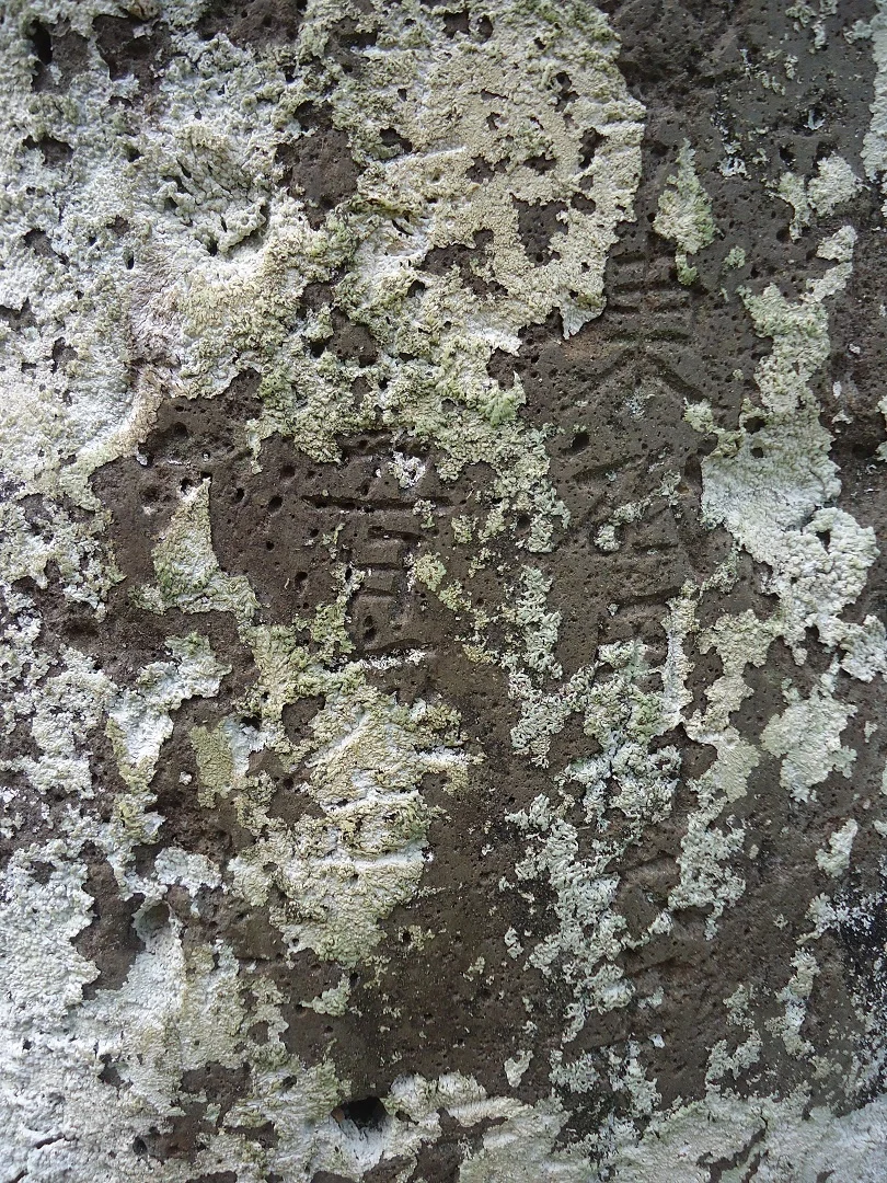 sDSC00824.jpg
