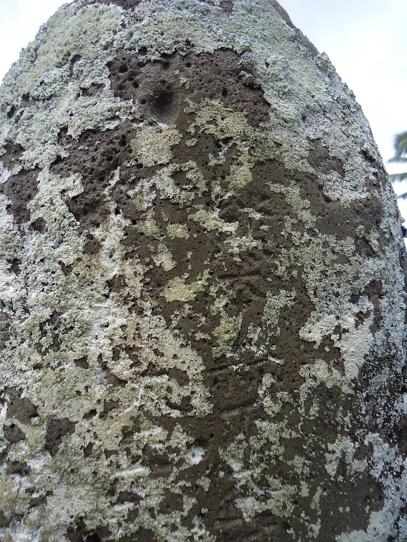 sDSC00826.jpg