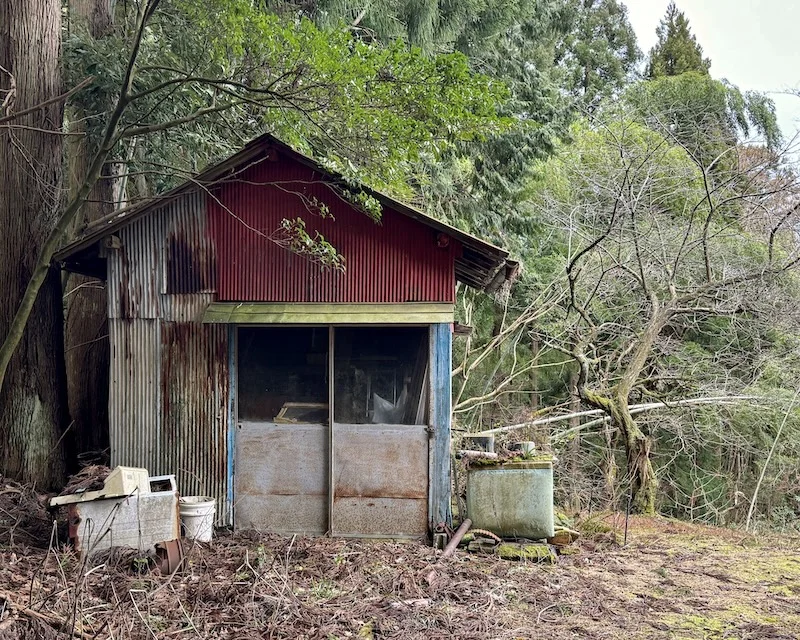 shed.JPG