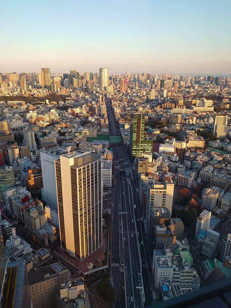Shibuya The Roof