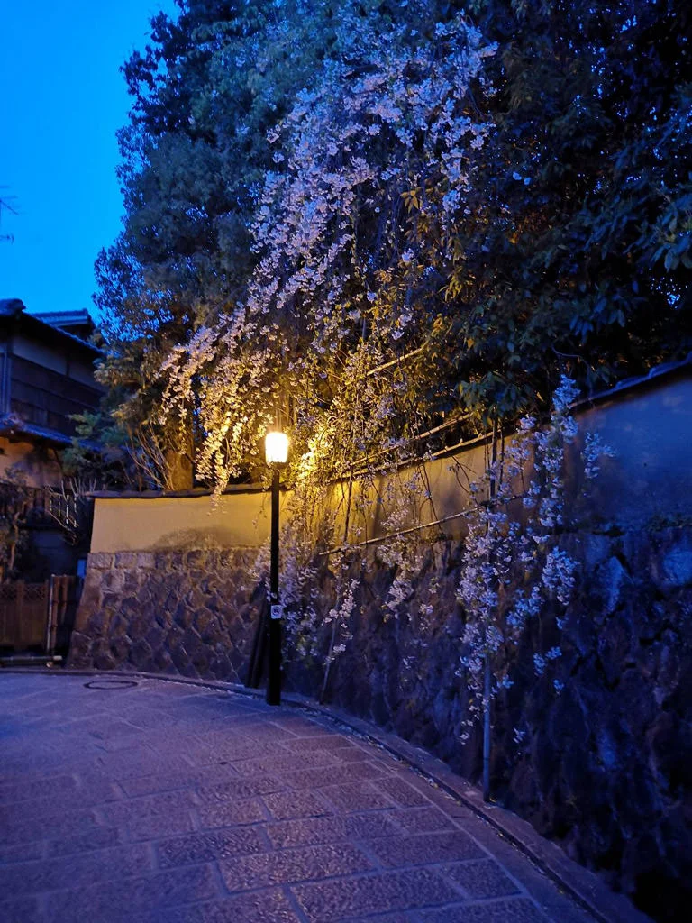 Shimokawara