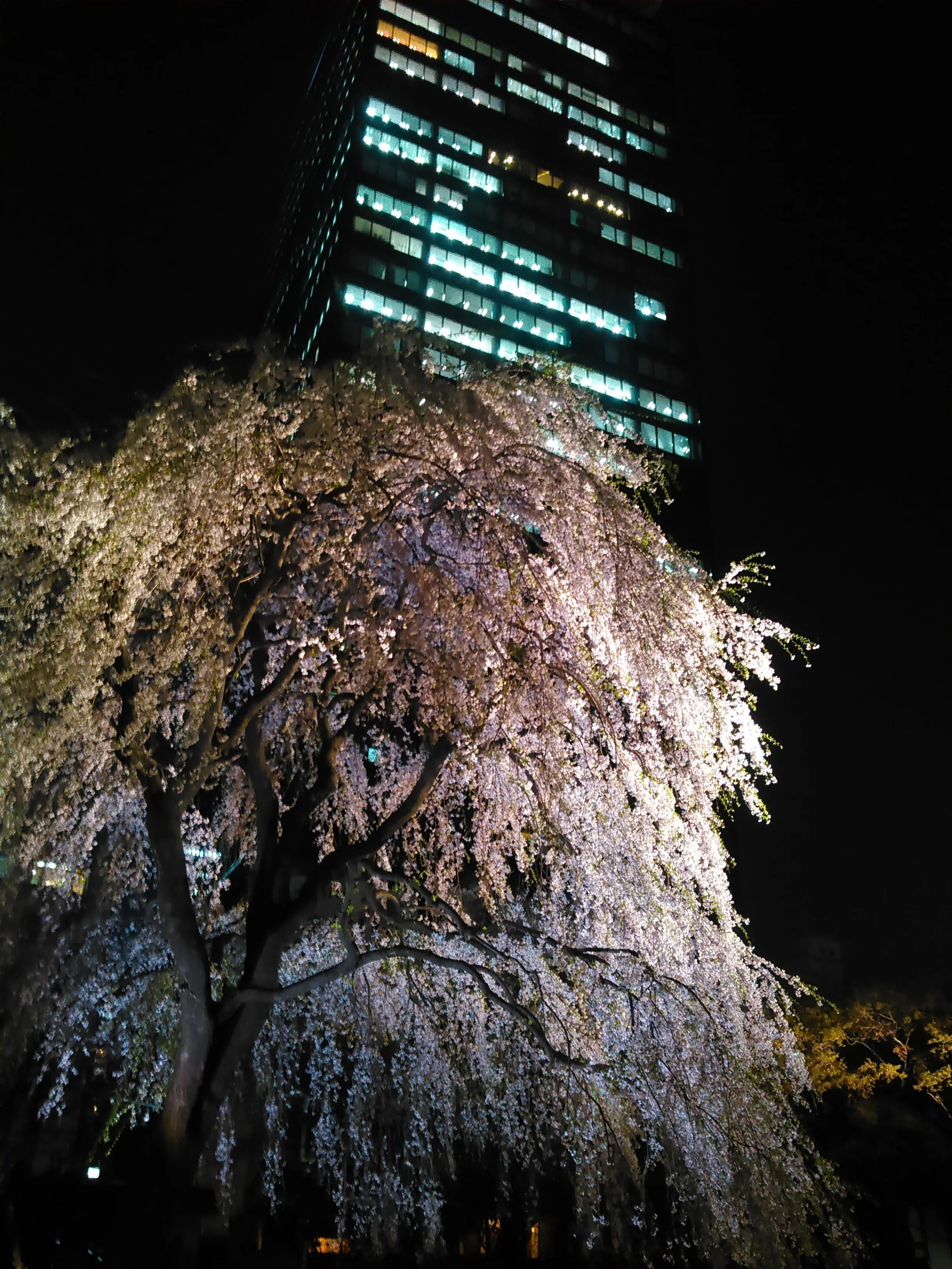 Shinjuku