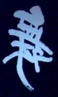 shirt.jpg