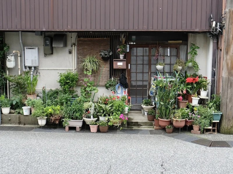 shop.JPG