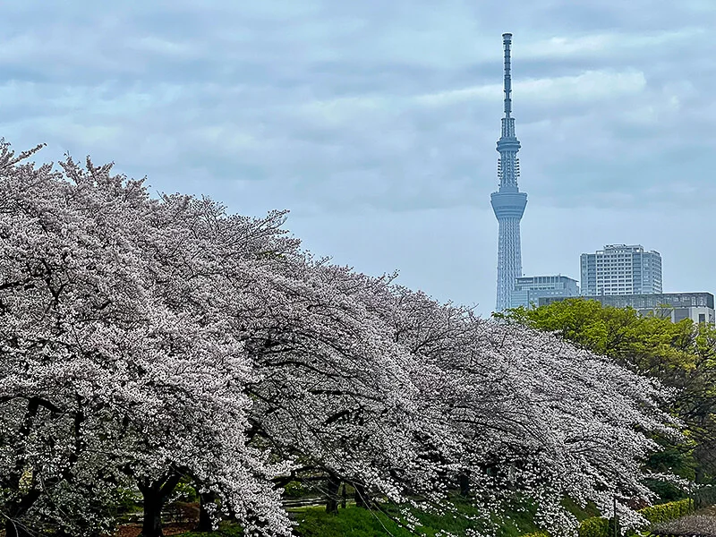 skytree.jpg