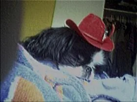 SMALL cowboy sleeping.jpg