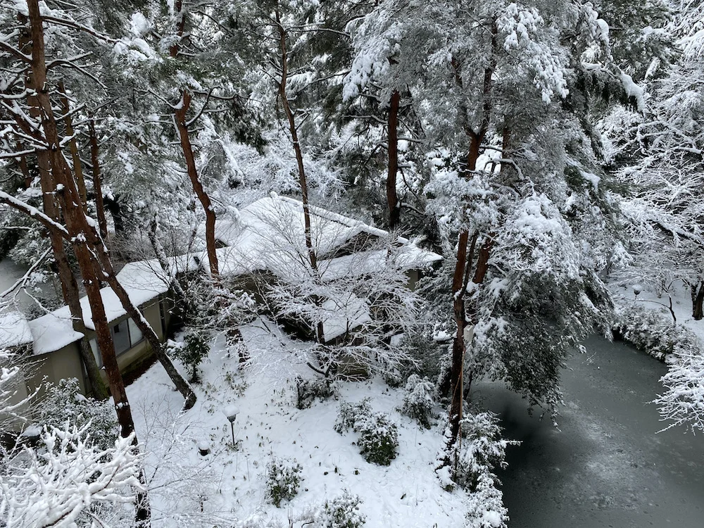 snow view.jpeg