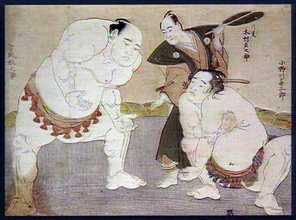 Sumo-3