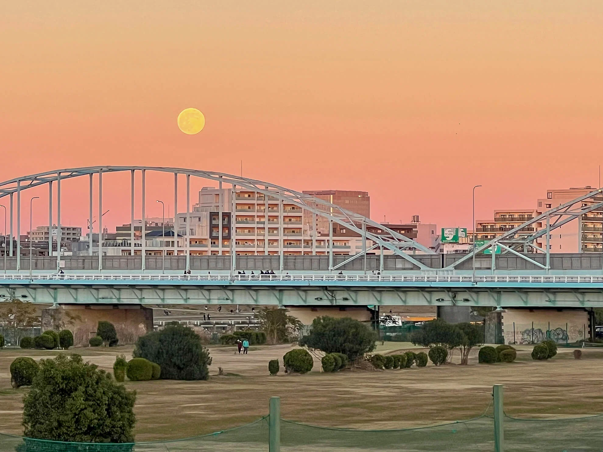 tama-bridge-2.webp