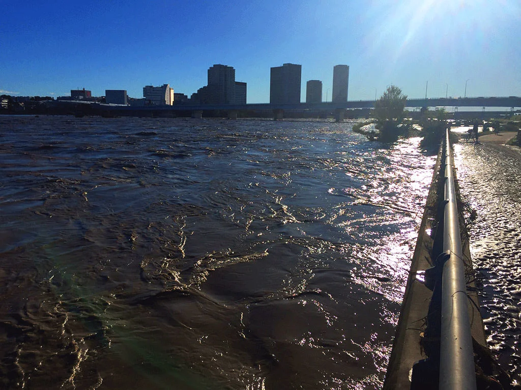 tamagawa02_12102019.jpg
