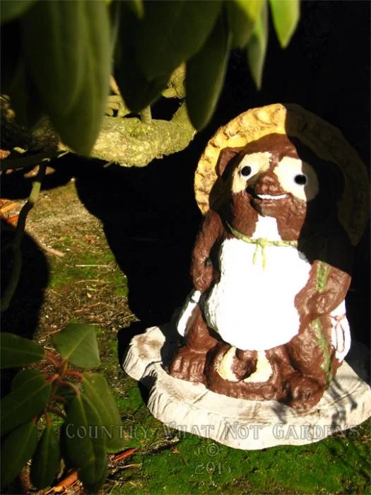 tanuki_3.jpg