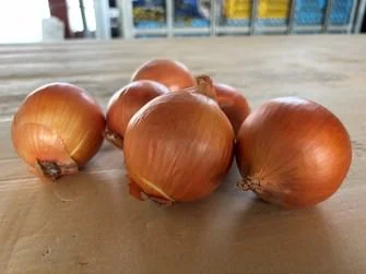 tearless-onions.webp
