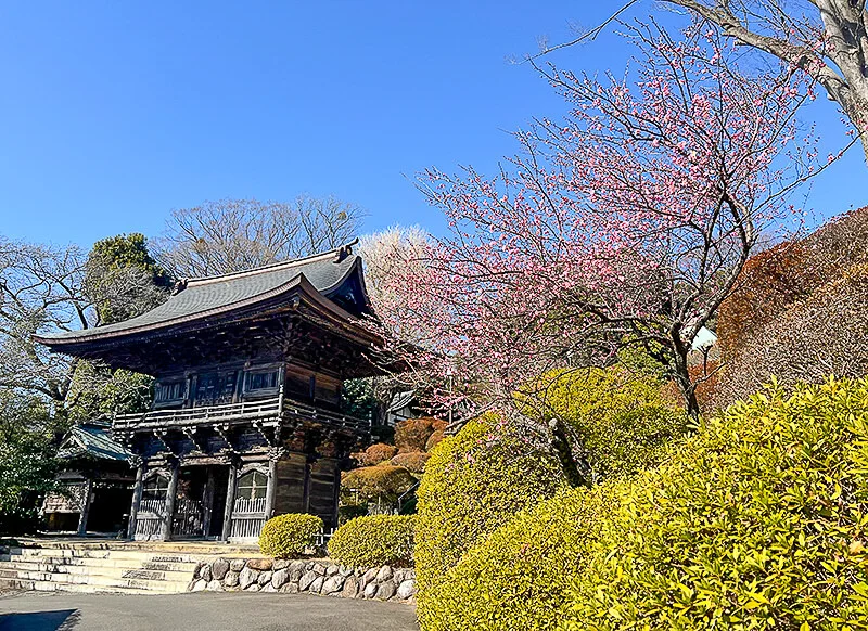 temple.webp