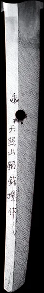 tenshozan.jpg