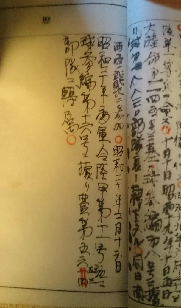 thumbnail (8).jpg