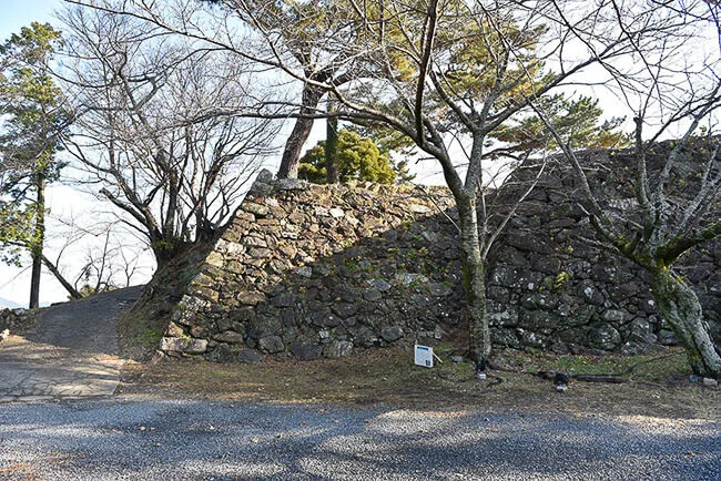 Toba Castle