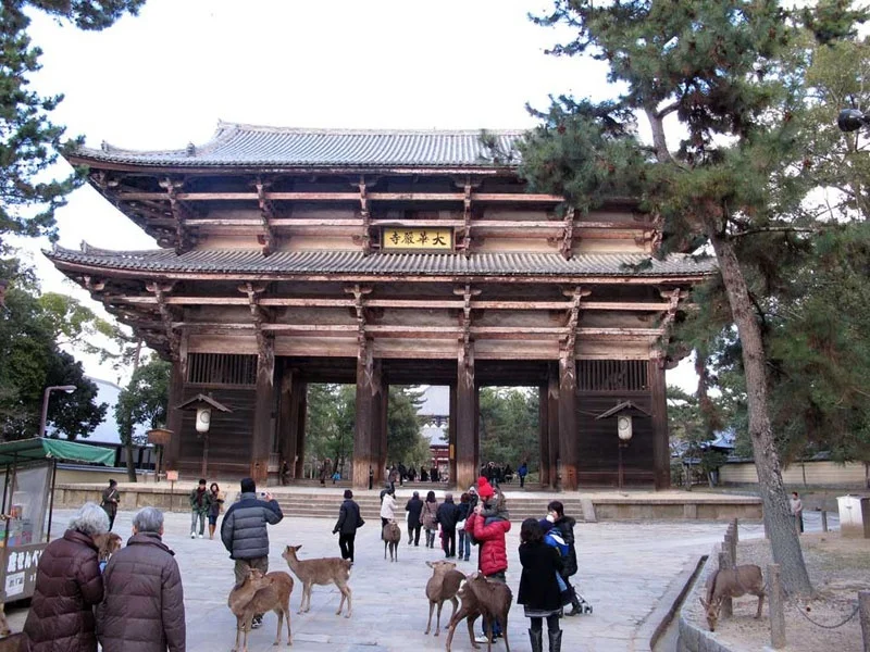 Todaiji Temple