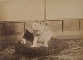 tokugawa-yoshinobu-pet-cat-han.jpg