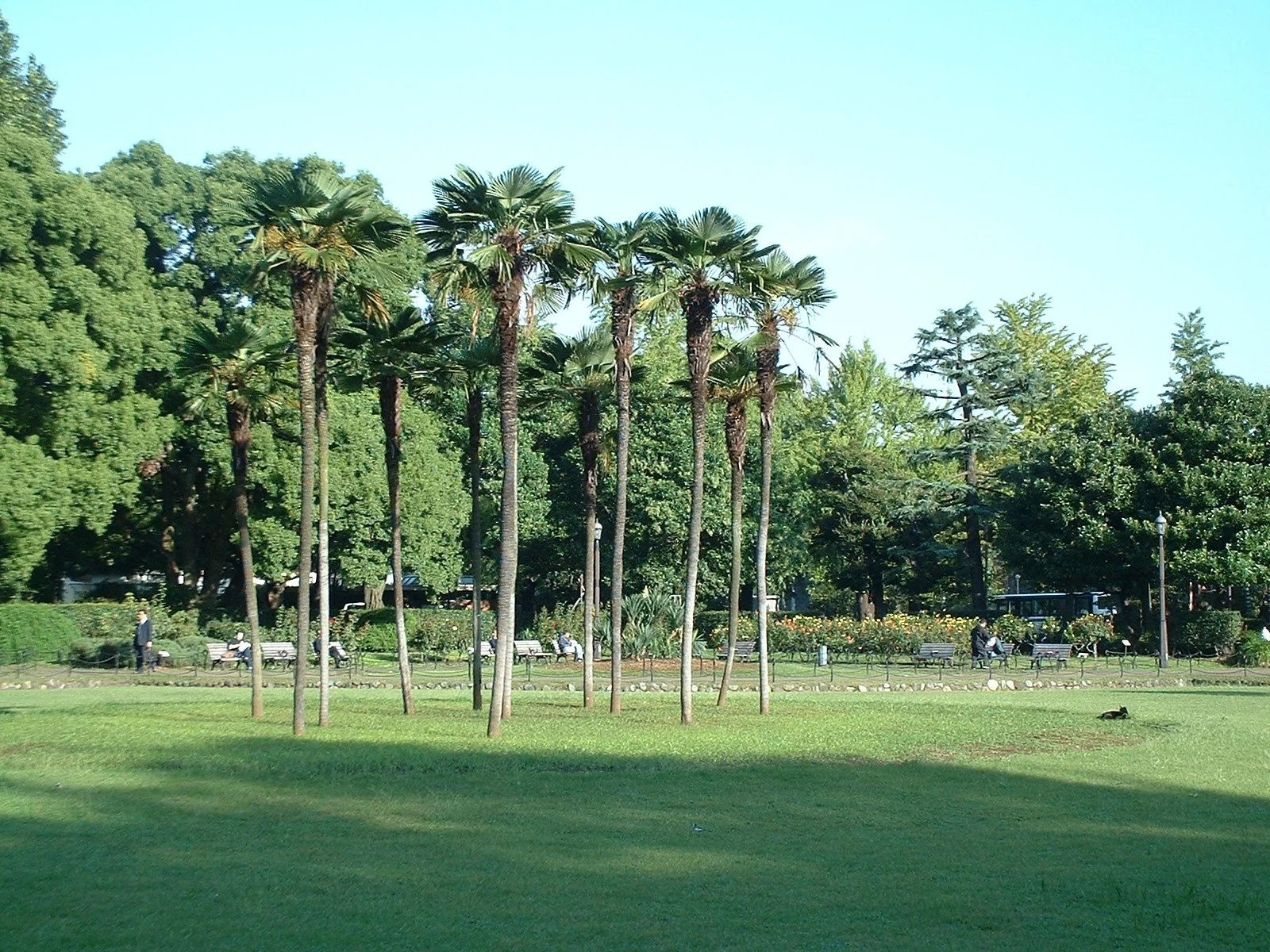 Tokyo - Hibiya Park