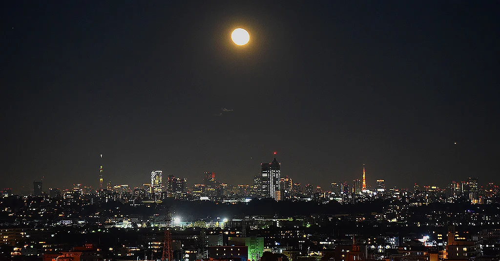 Tokyo Night Panorama