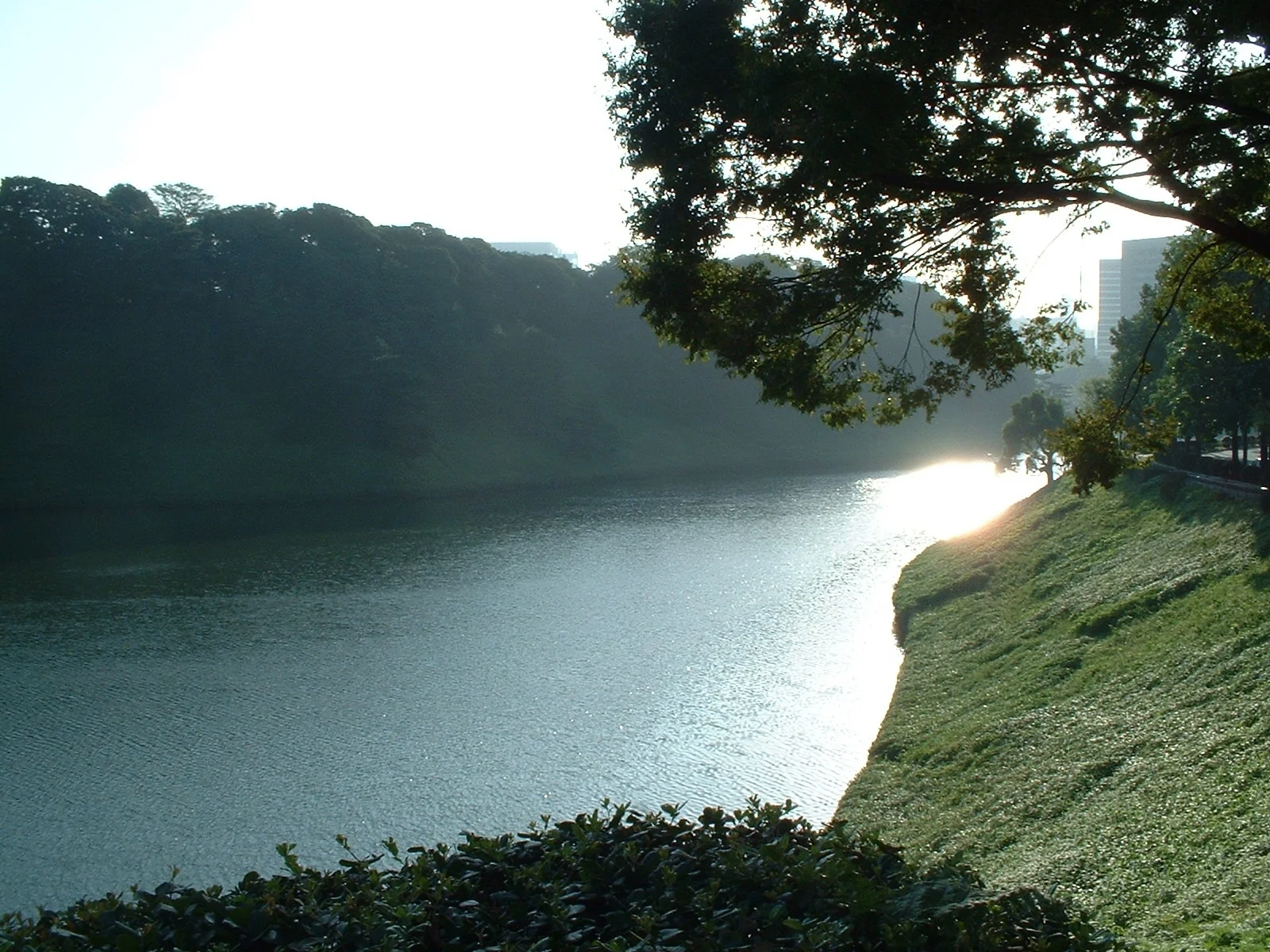 Tokyo - Sakurada-bori Moat of the Imperial Palace